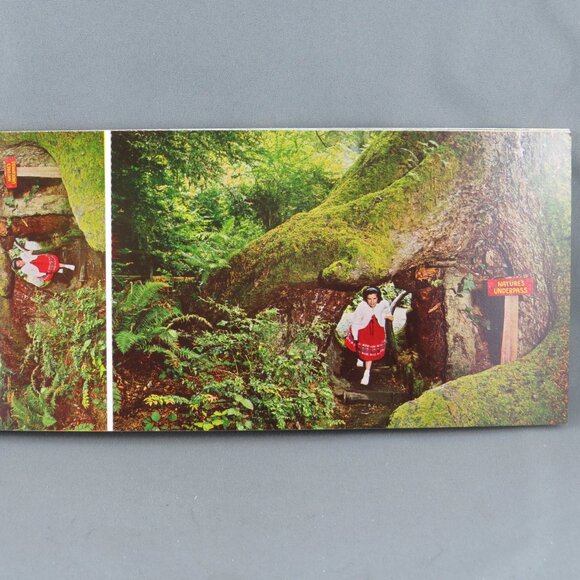 Vintage Postcard set - Trees of Mystery Klamath California 10 Set - E F Clements - Picture 5 of 11